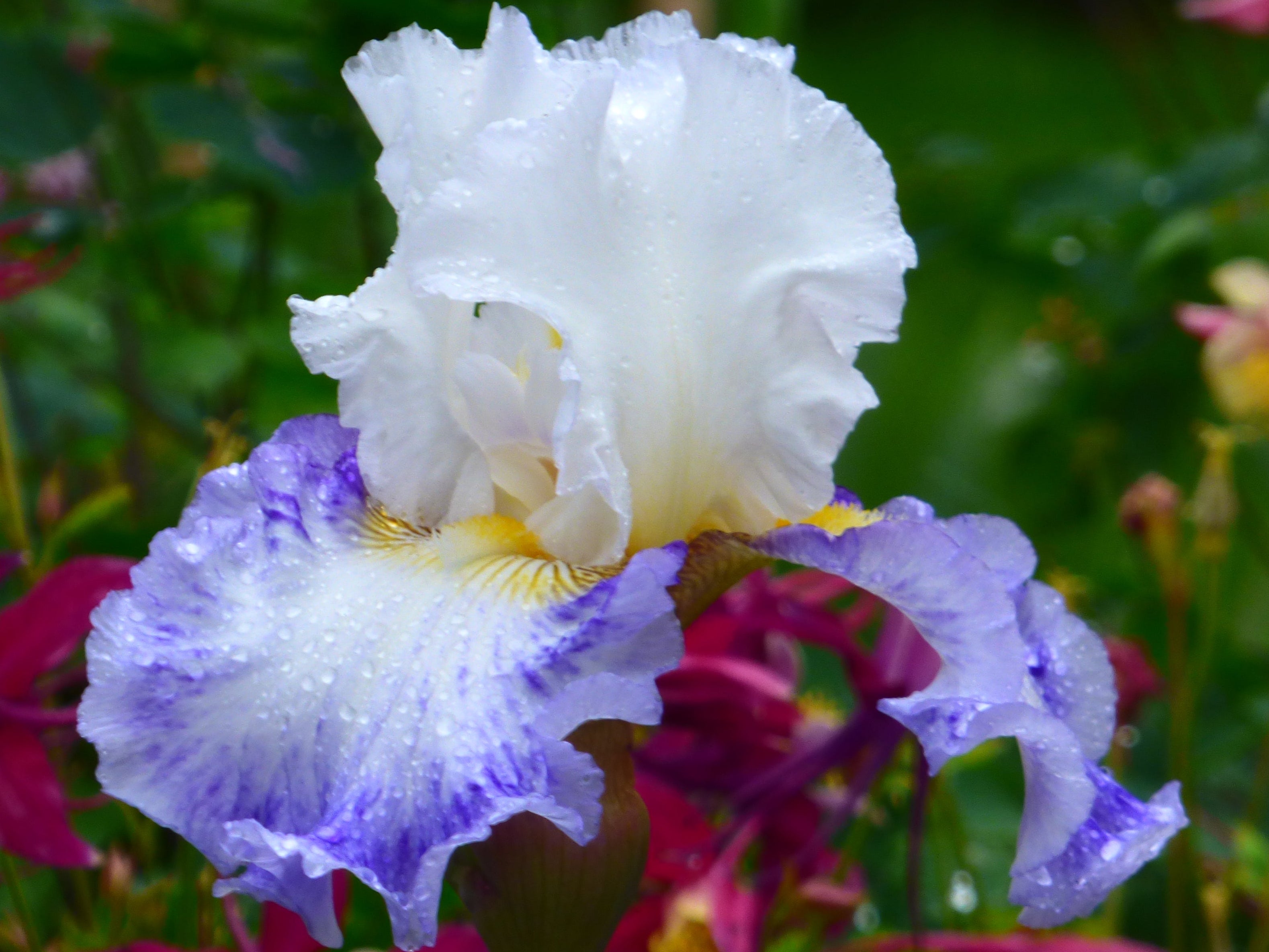 【Blu-ray】ビザンチウム('12英/アイルランド) Blu-ray】ビザンチウム('12英/アイルランド) Blu-ray】ビザンチウム