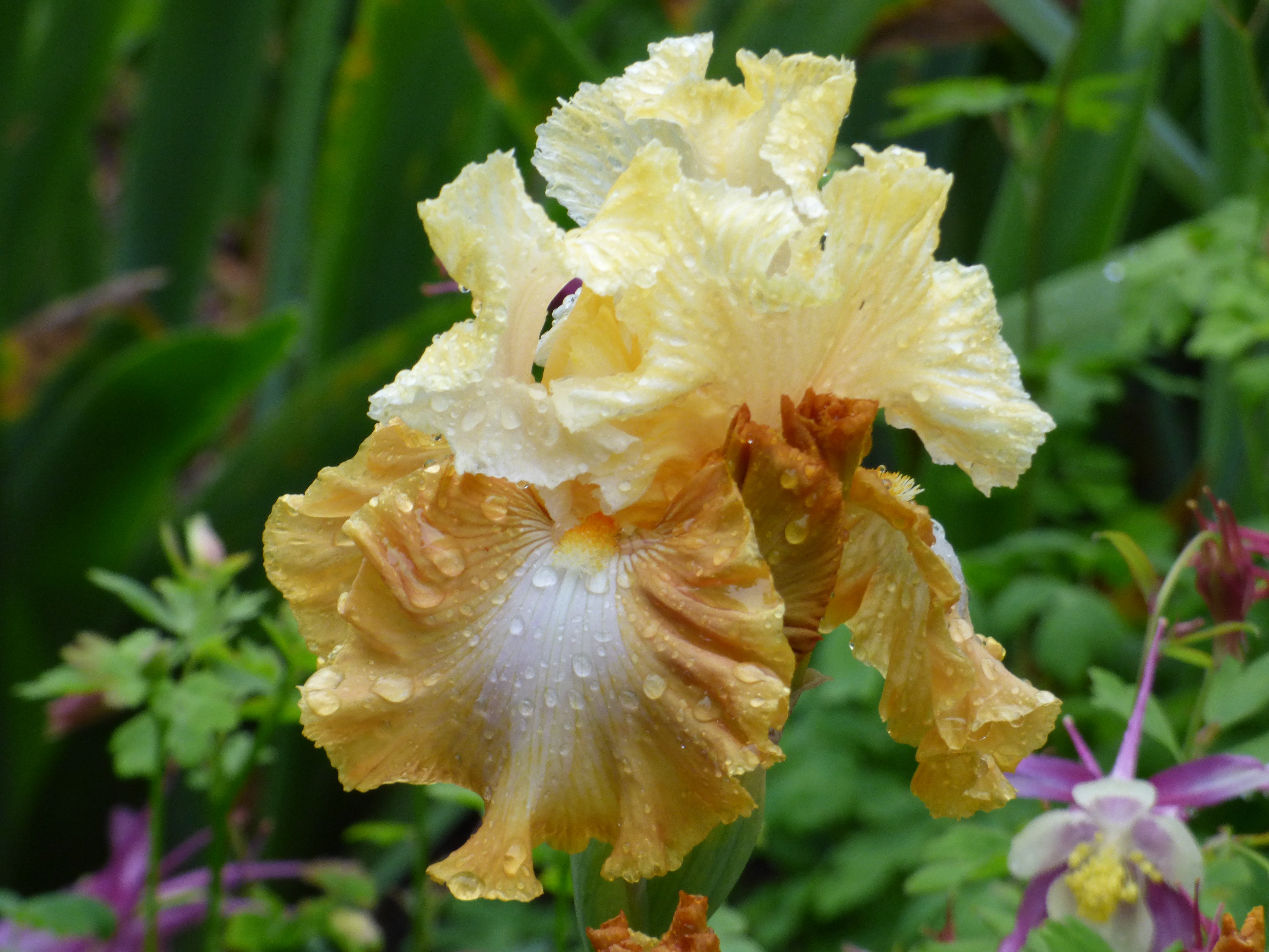 Honeycomb_4.jpg?v=1754902948