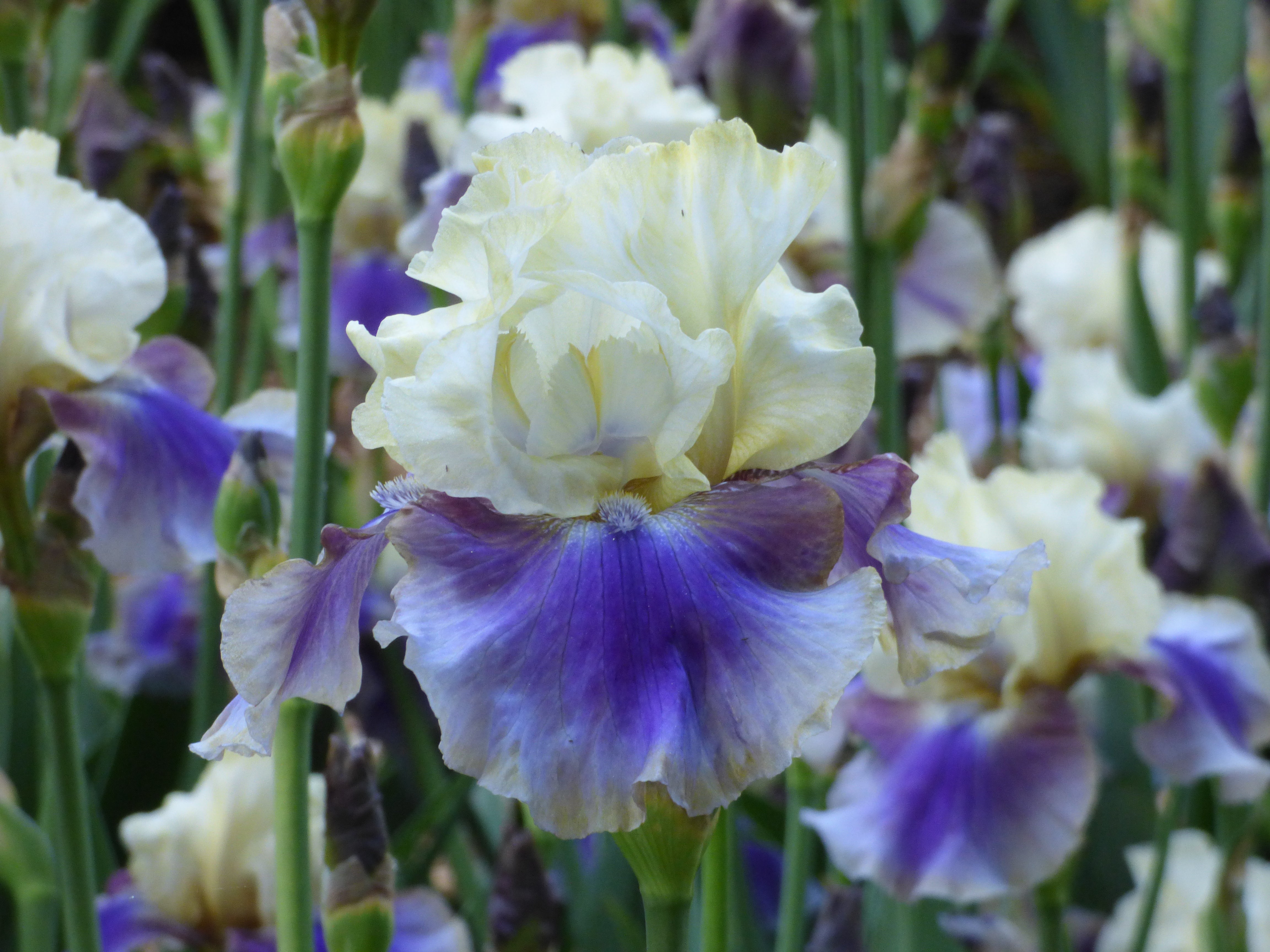 OnDeck_9.jpg?v=1762549692