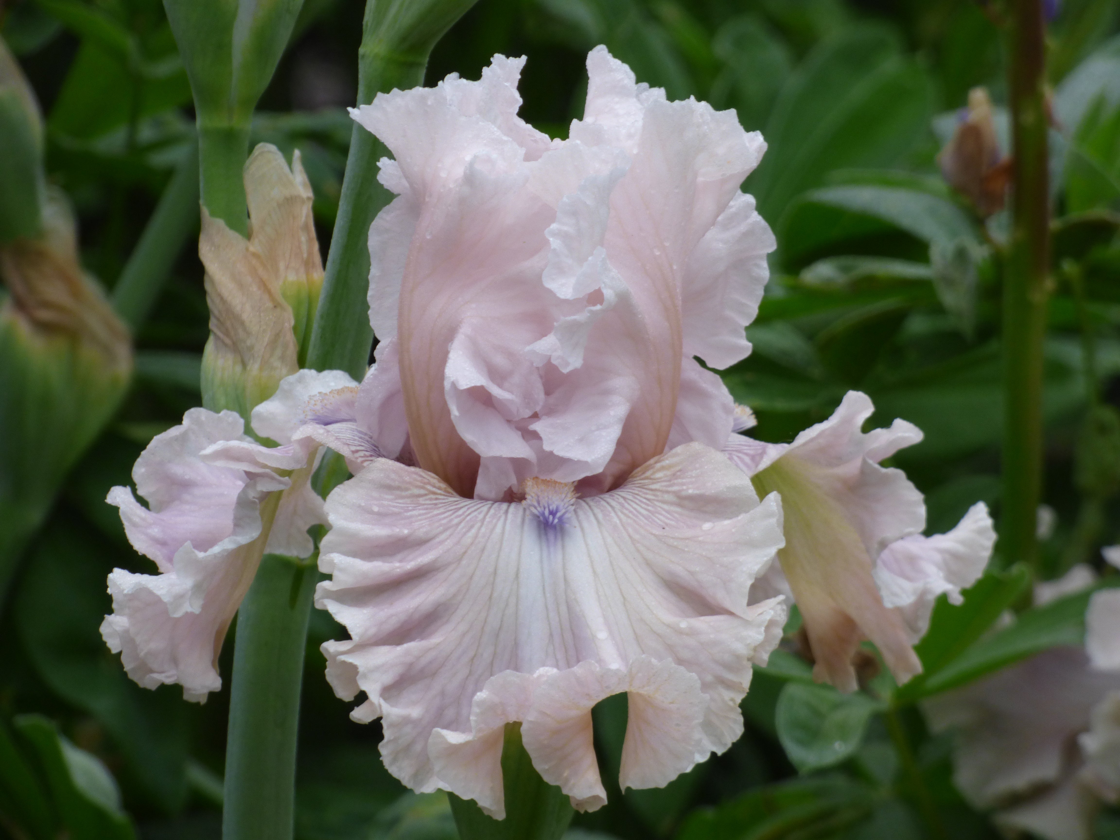 P1380269.jpg?v=1754902986