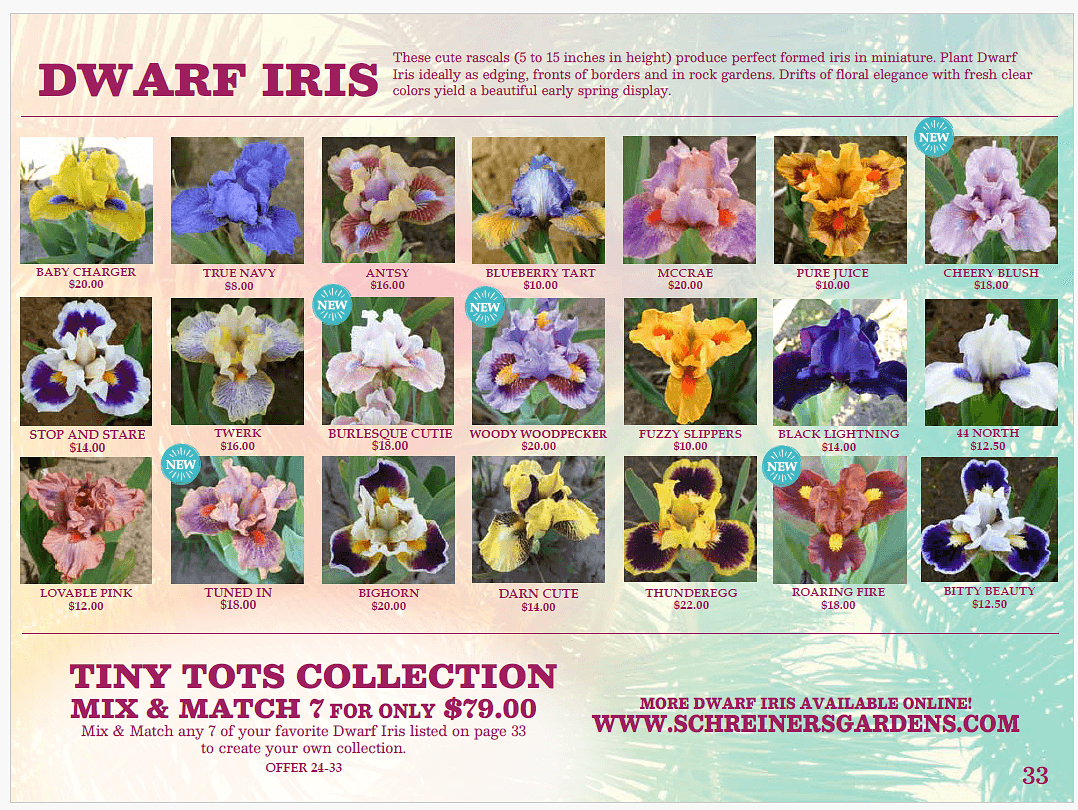 Tiny Tots Collection - Schreiner's Gardens