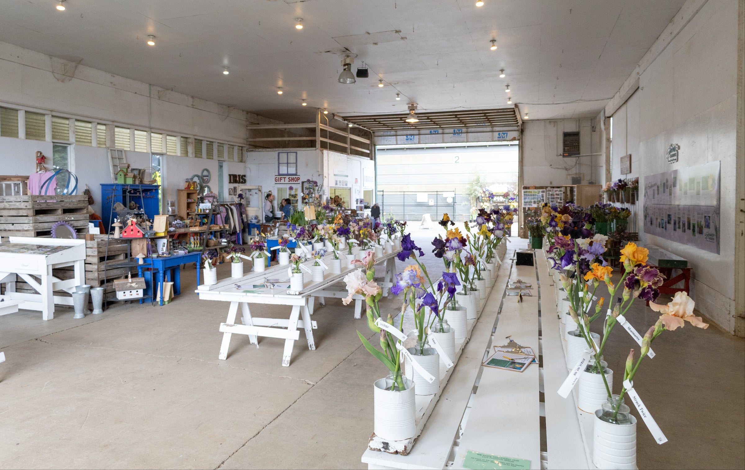A spacious indoor exhibition area displays colorful iris flowers in white vases on tables, with craft items, gifts, and decor on shelves in the background under bright overhead lighting.