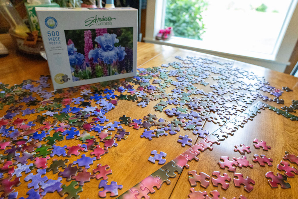 Puzzle - Open Sea Iris – Schreiner's Gardens