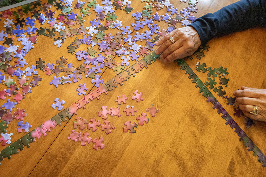 Puzzle - Open Sea Iris – Schreiner's Gardens