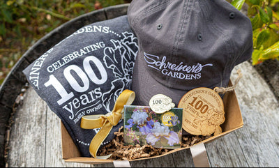 Centennial Celebration Collection