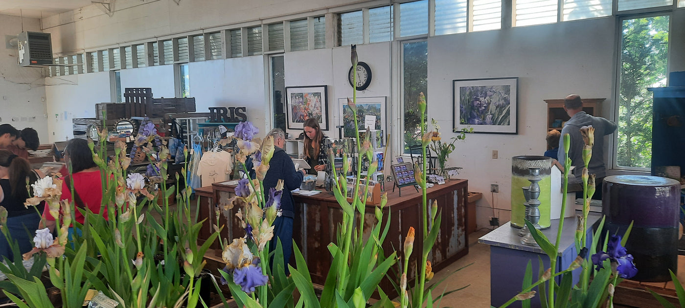 Season Pass- Bloom Season 2026