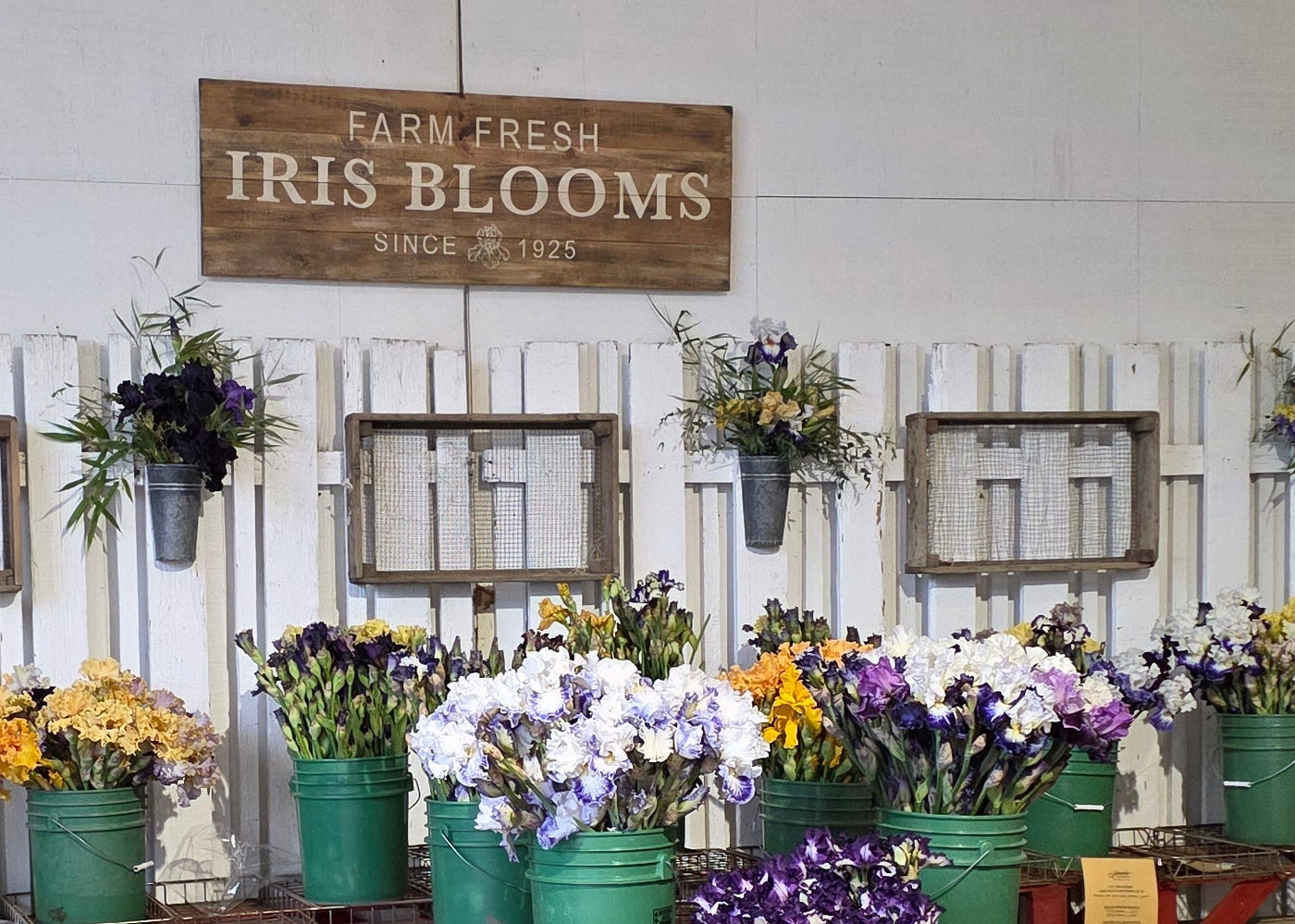 Season Pass- Bloom Season 2026