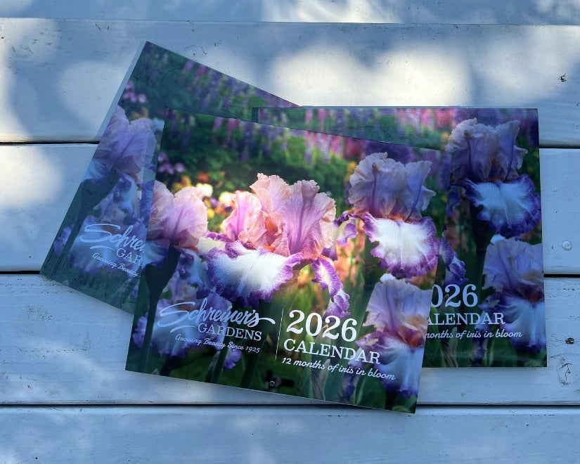 2026 Wall Calendar - 12 months of Iris in Bloom