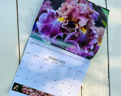 2026 Wall Calendar - 12 months of Iris in Bloom