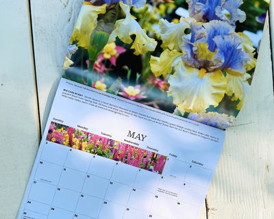 2026 Wall Calendar - 12 months of Iris in Bloom