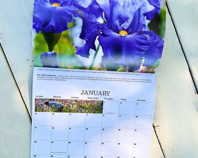 2026 Wall Calendar - 12 months of Iris in Bloom