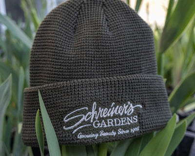Beanies