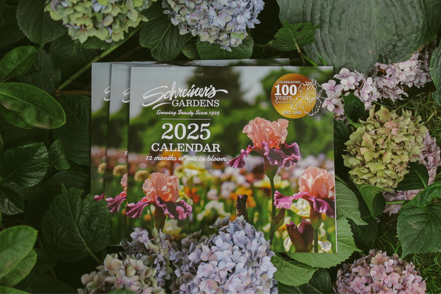 Schreiner's Iris Gardens Growing the finest Iris since 1925