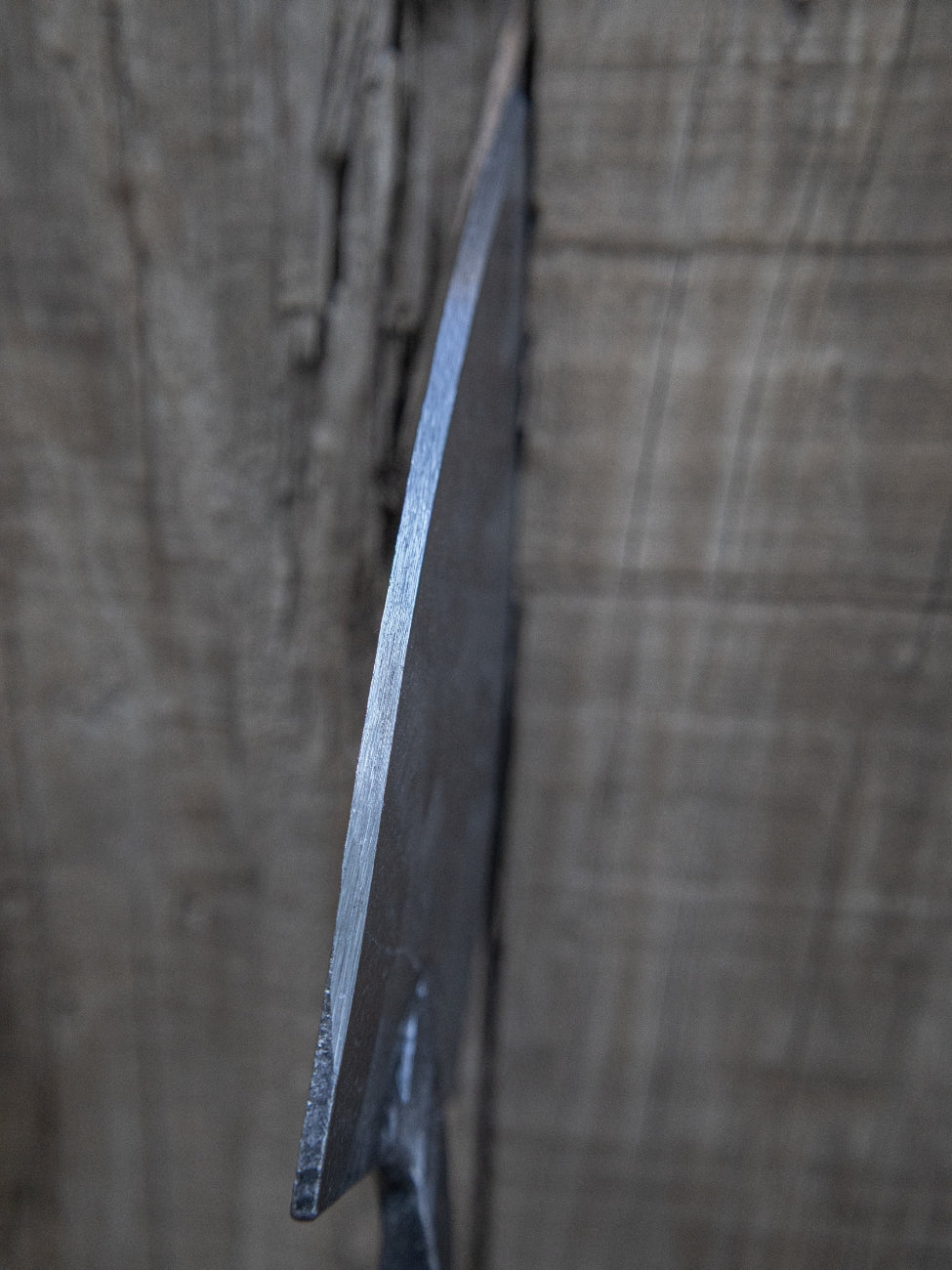 Dividing Spade | Garden Tools – Schreiner's Gardens