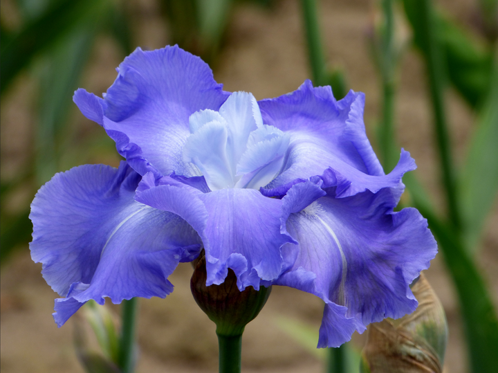 Downstream_720x.png?v=1762291358