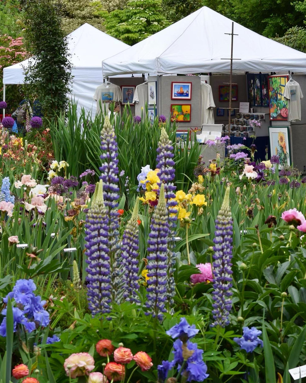 White tents display colorful artwork and t-shirts in the background, while the foreground features blooming purple, yellow, and pink flowers in a lush garden setting.