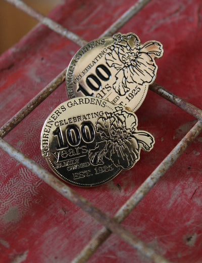 100 Year Pin