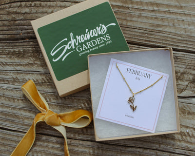 Jewelry: Iris Gold Necklace