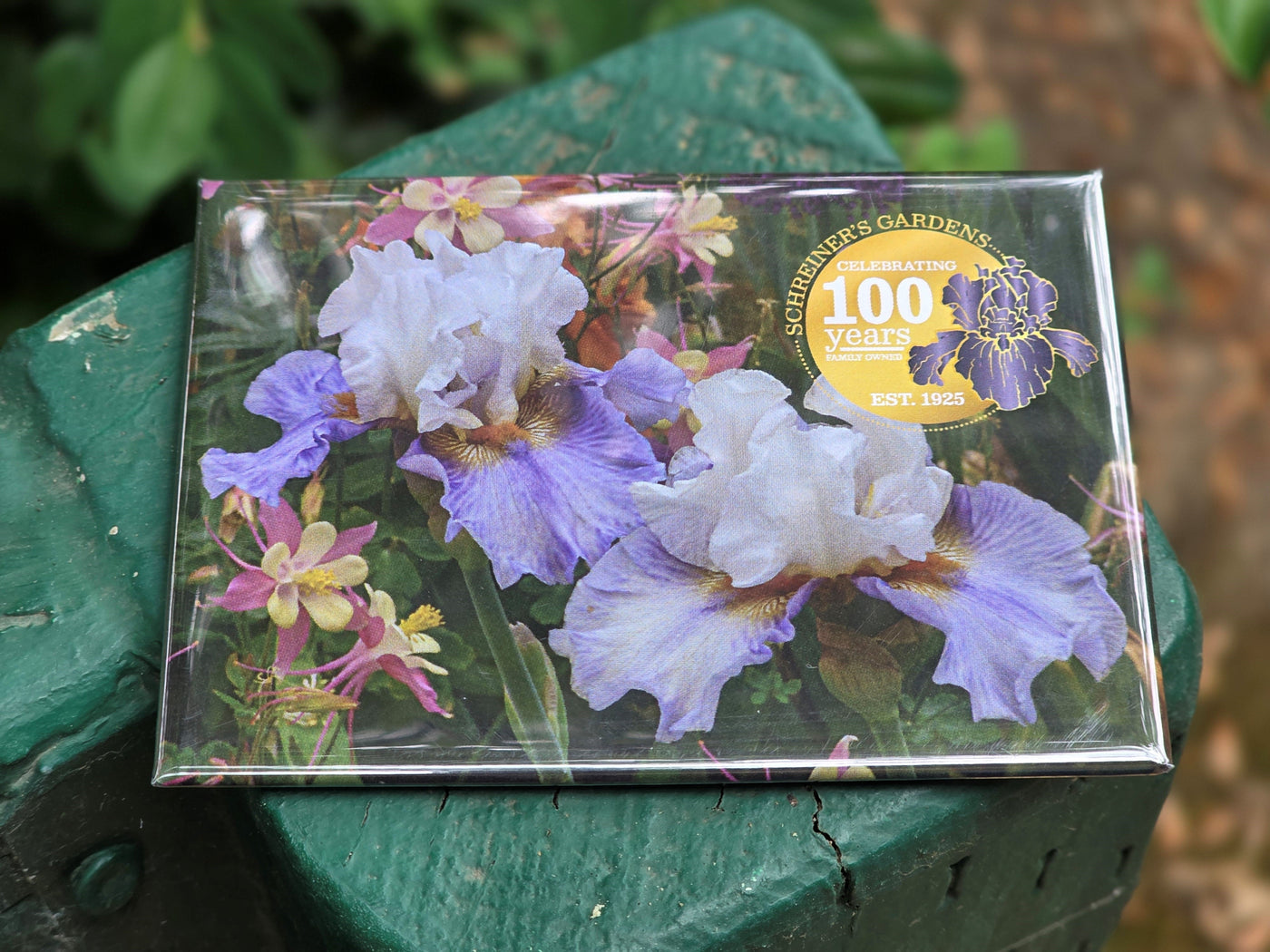 Centennial Celebration Collection