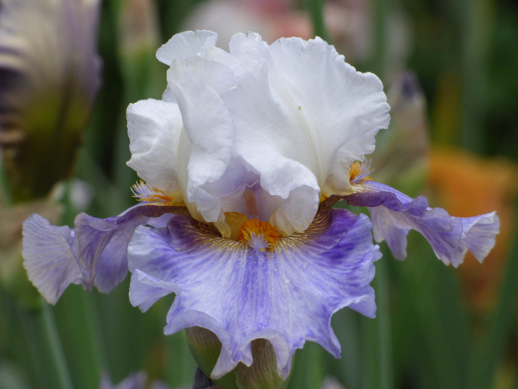 OffHours_33_1024x1024.jpg?v=