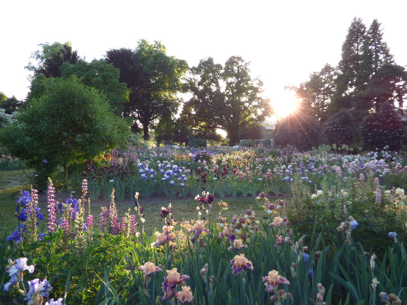 Season Pass- Bloom Season 2026