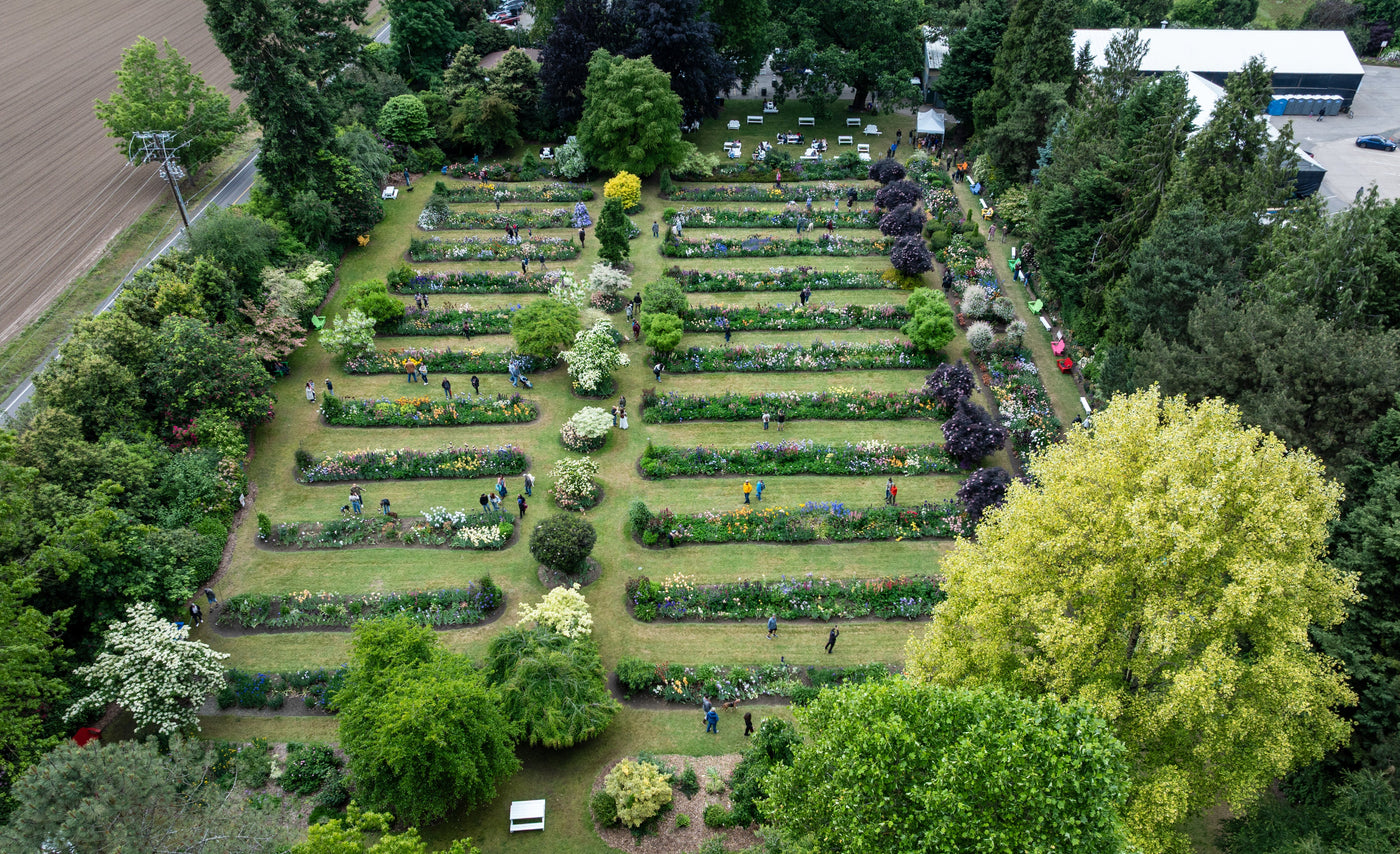 Season Pass- Bloom Season 2026