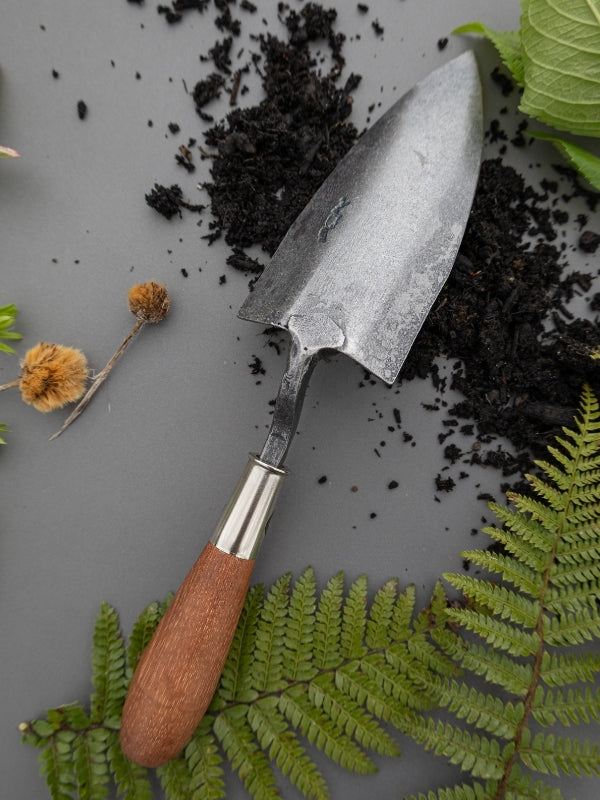 Tool: Trowel