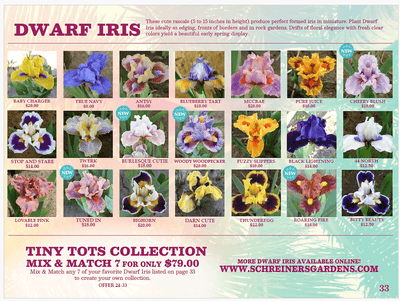 Tiny Tots Iris Collection