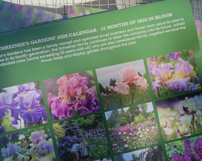 2026 Wall Calendar - 12 months of Iris in Bloom