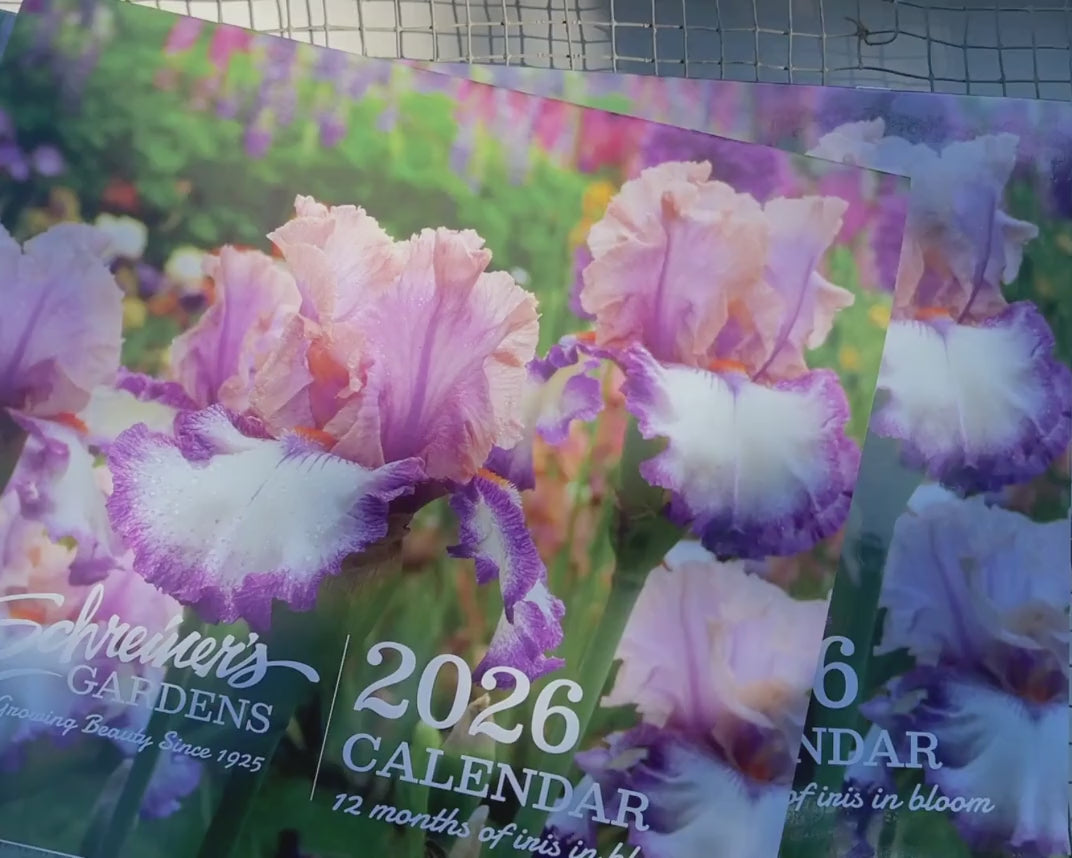 2026 Wall Calendar - 12 months of Iris in Bloom