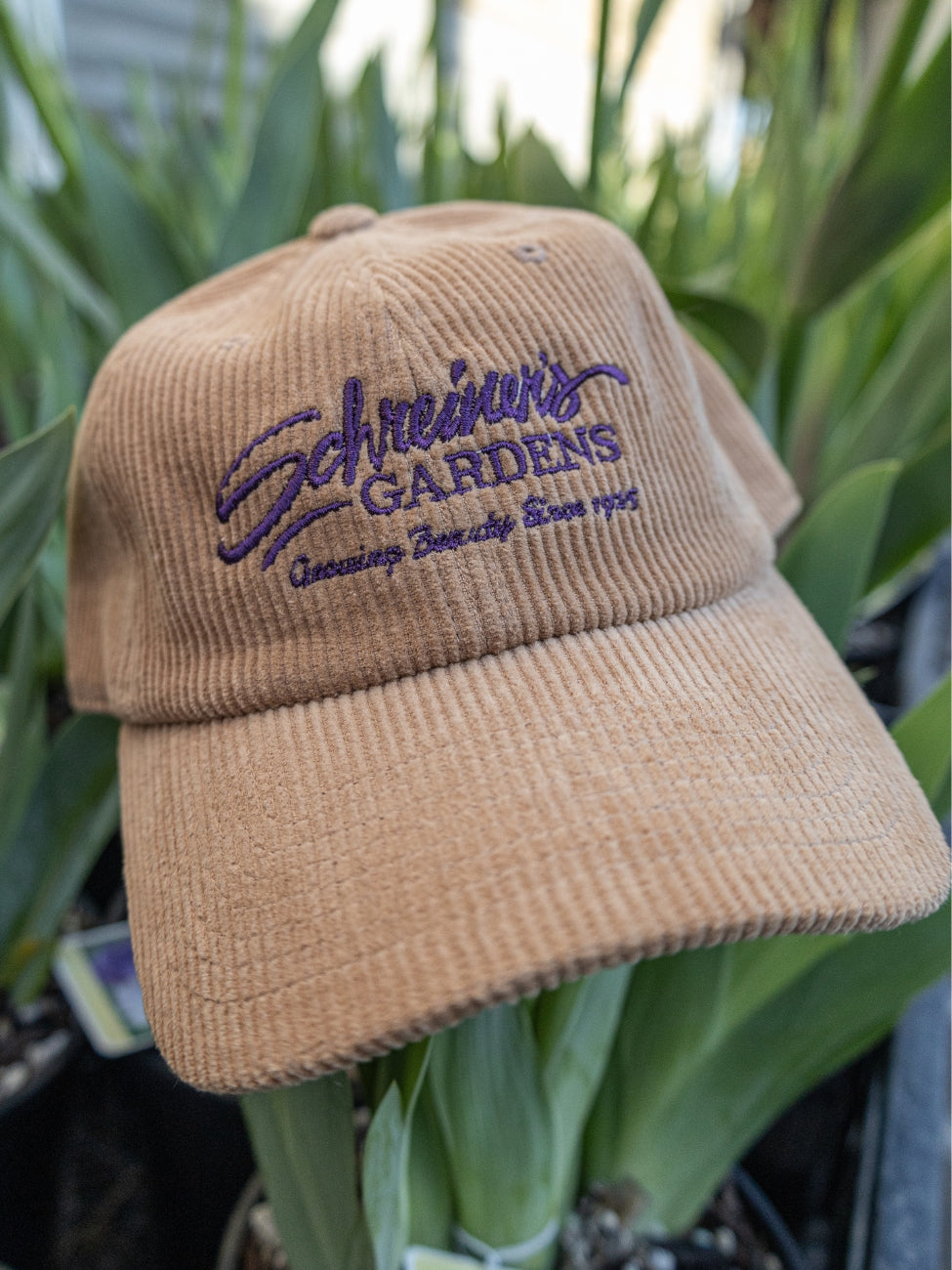 Corduroy Hats