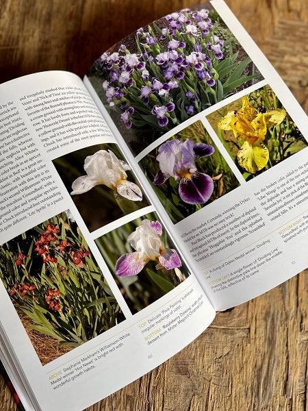 Dwarf and Median Bearded Irises - Jewels of the Iris World