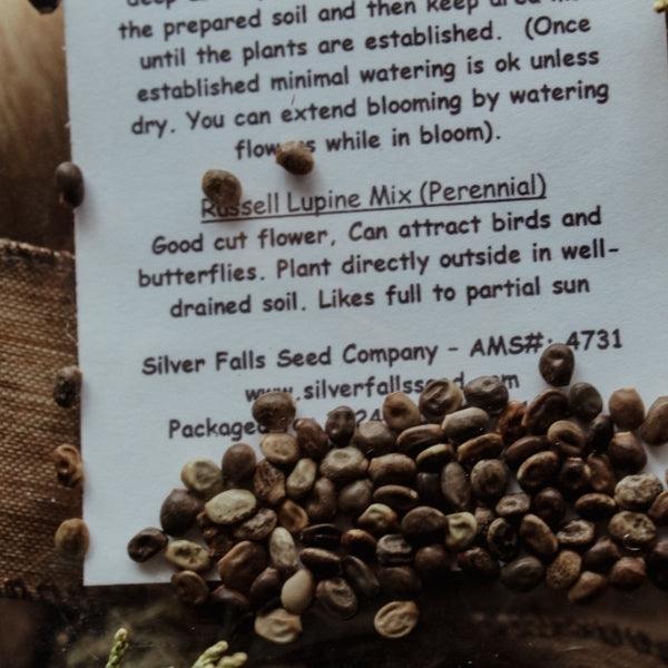 lupine seed planting instructions Russell Lupine Seeds