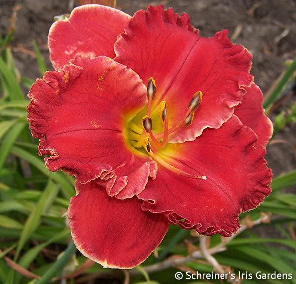 Red Chile Rendezvous